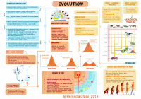 Evolution.pdf